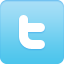 1310475954_twitter