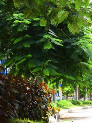 EL CRECIENTE CALOR DE BARRANQUILLA